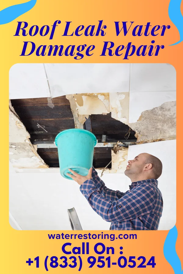 Roof Leak Water Damage Repair in Apex, NC