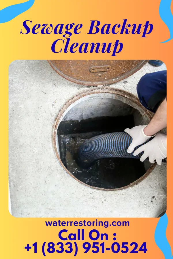 Sewage Backup Cleanup in Apex, NC