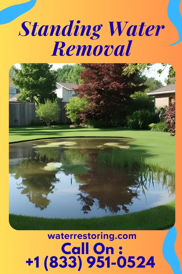Standing Water Removal in Apex, NC